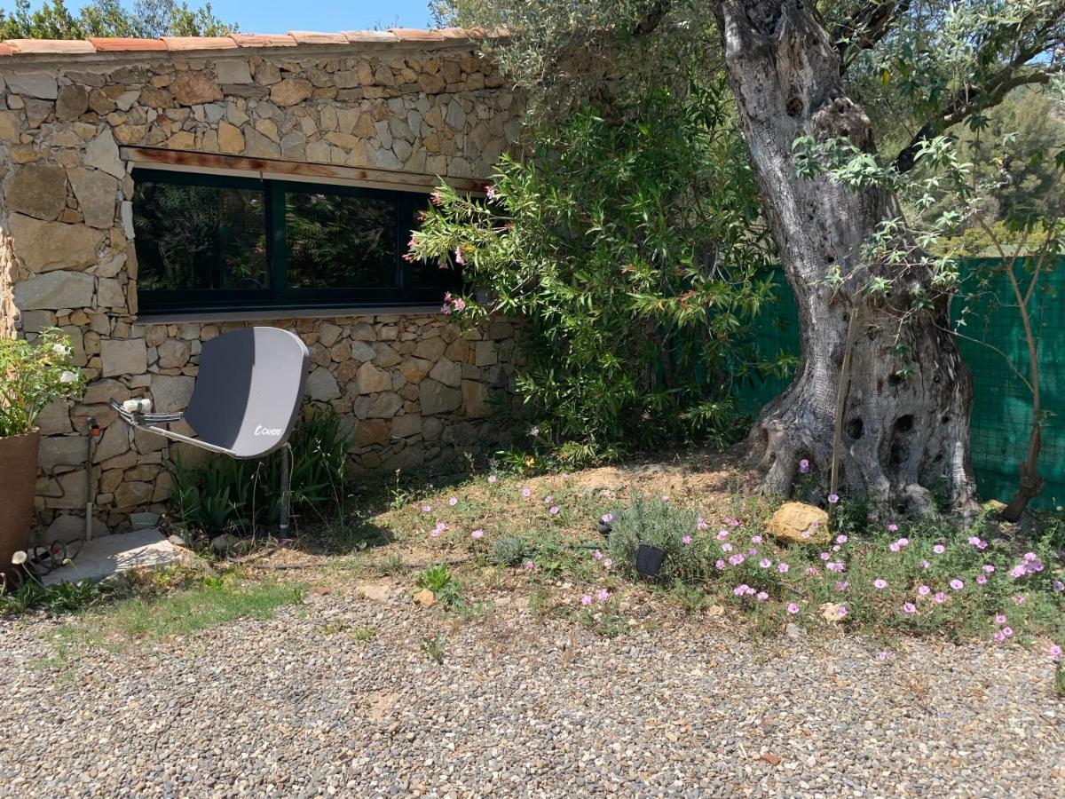 Hébergement de vacances Cabanon Sanary-sur-Mer