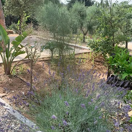 Villa Cabanon à Sanary-sur-Mer Extérieur photo